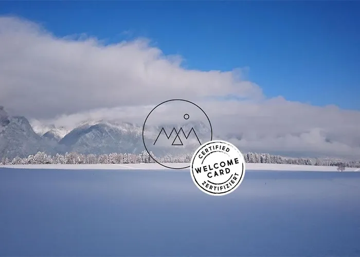 Апартаменты M&m *